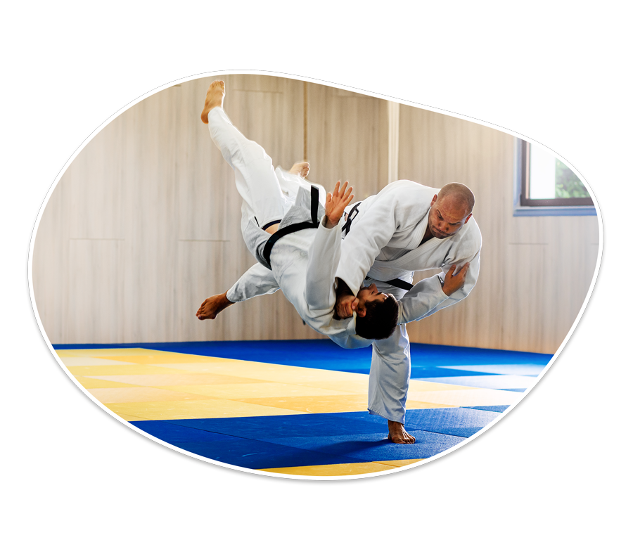 Everion Site Judo