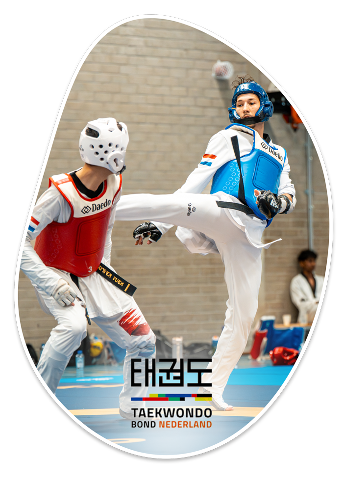 Everion Site Blob Taekwondo 2