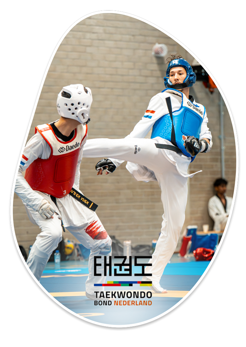 Everion Site Blob Taekwondo 2